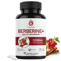 VYHTHY High Potency Berberine HCl 1200mg Complex with True Ceylon Cinnamon Extract, Natural Support for Gut Health, Microbial Balance & Cognitive Function, Easy-Swallow Vegetarian Capsules 90 Count