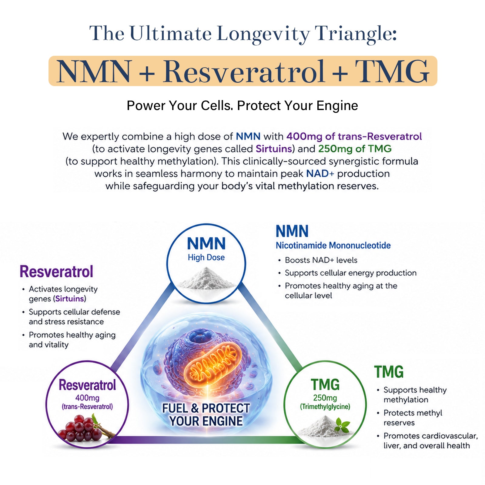 VYHTHY Liposomal Enhanced β-NMN 500mg Per Serving 12-in-1 Complex with Resveratrol, TMG, Glutathione & PQQ | Max Absorption NAD+ Booster for Healthy Aging & Mitochondrial Function, 120 Vegetarian Capsules