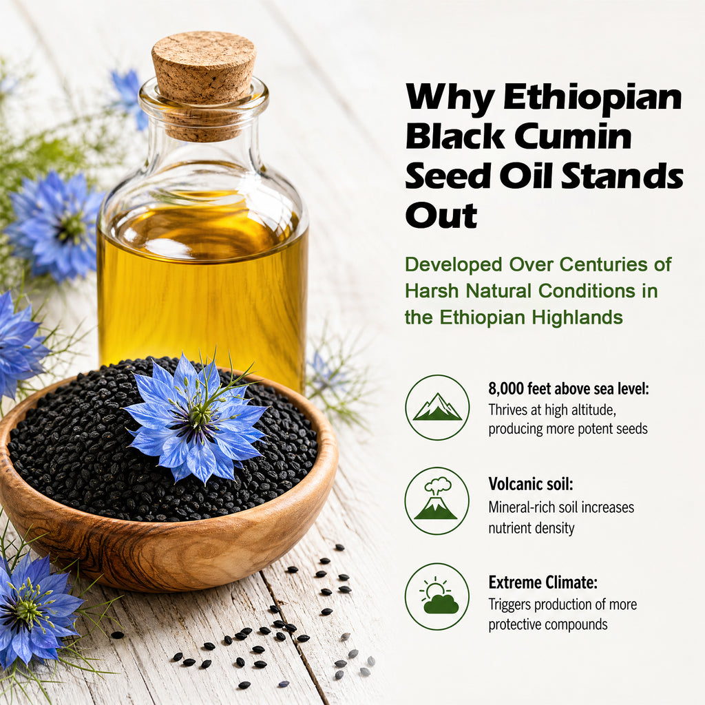 VYHTHY Ethiopian Black Seed Oil Softgels, Cold Pressed 100% Pure Nigella Sativa Supplement, Support Immune, Digestive Gut Health, Healthy Hair Skin & Nails, Non-GMO Gluten Free, 120 Softgels