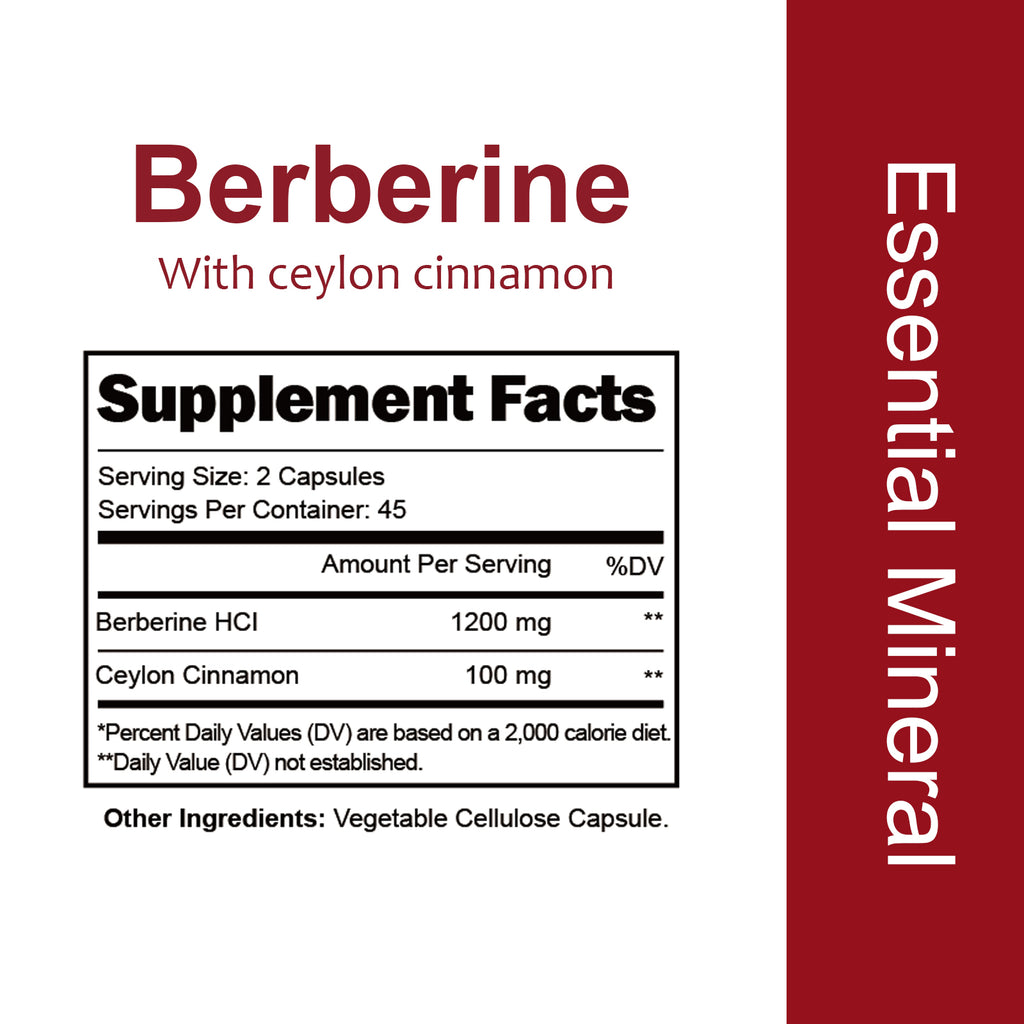 VYHTHY High Potency Berberine HCl 1200mg Complex with True Ceylon Cinnamon Extract, Natural Support for Gut Health, Microbial Balance & Cognitive Function, Easy-Swallow Vegetarian Capsules 90 Count