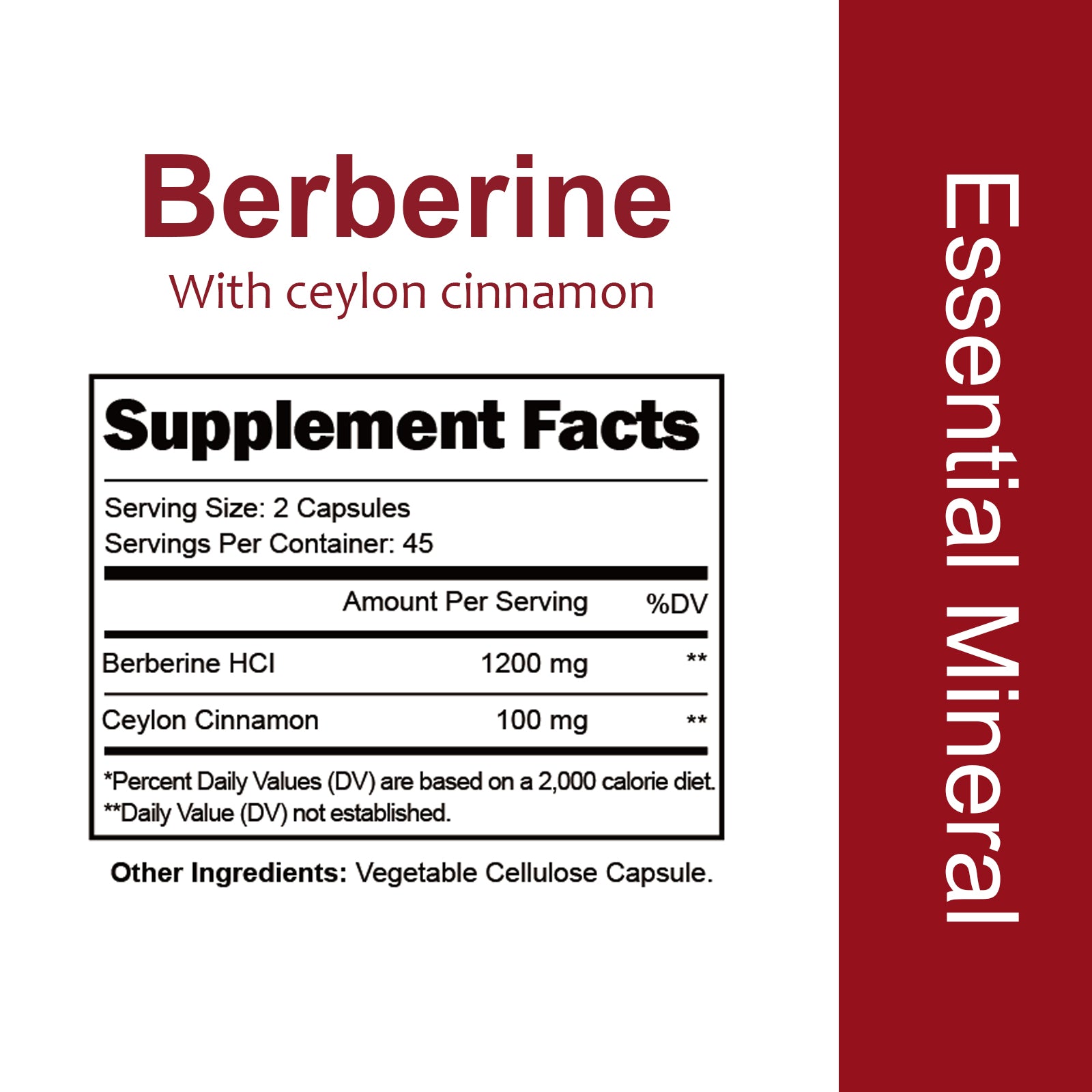 VYHTHY High Potency Berberine HCl 1200mg Complex with True Ceylon Cinnamon Extract, Natural Support for Gut Health, Microbial Balance & Cognitive Function, Easy-Swallow Vegetarian Capsules 90 Count