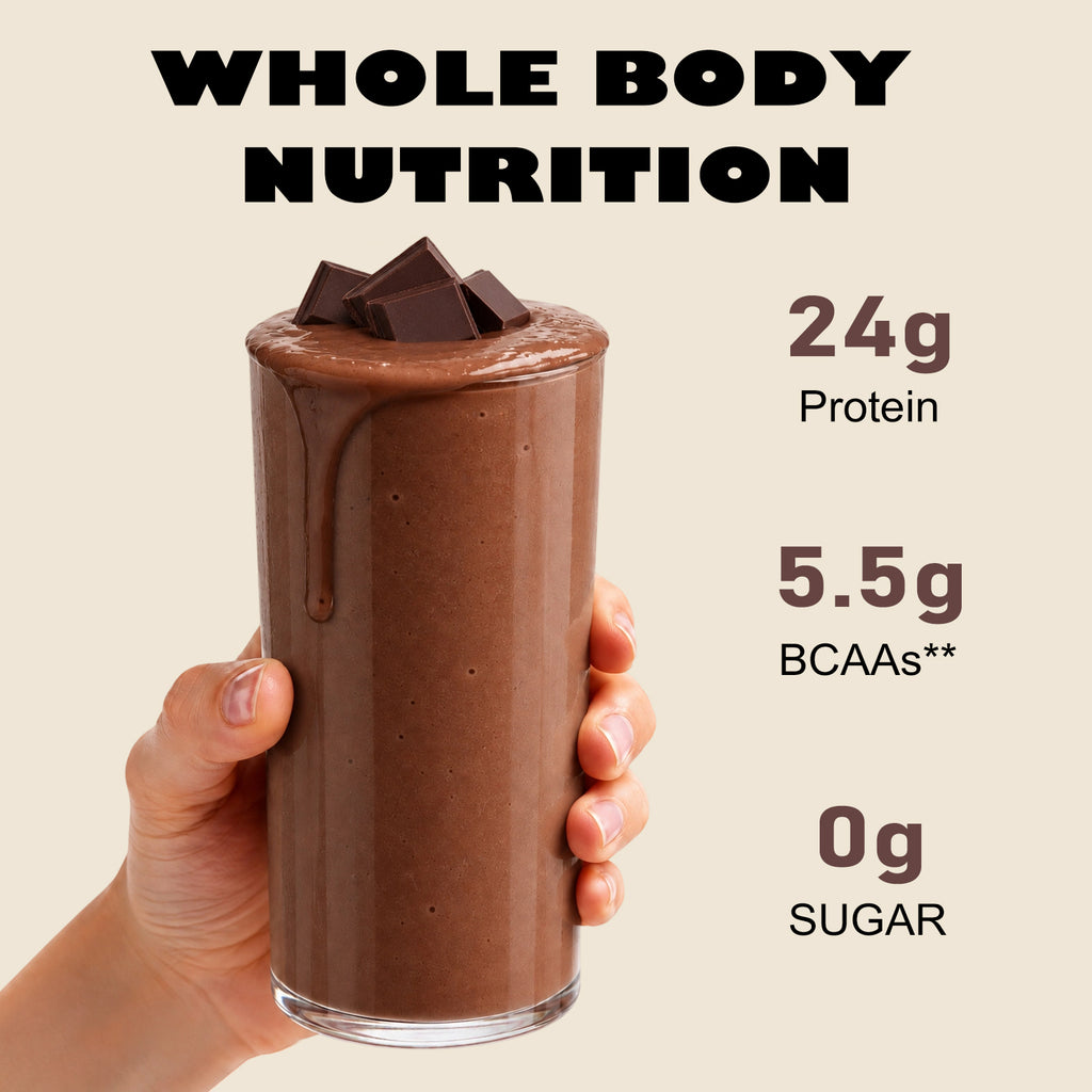 VYHTHY Chocolate Whey Protein Powder Single Serve Packets, 24g Protein & 5.5g BCAAs Per Packet, Zero Added Sugar Portable Post-Workout Muscle Recovery Supplement, 14 Individual Packets Per Bag