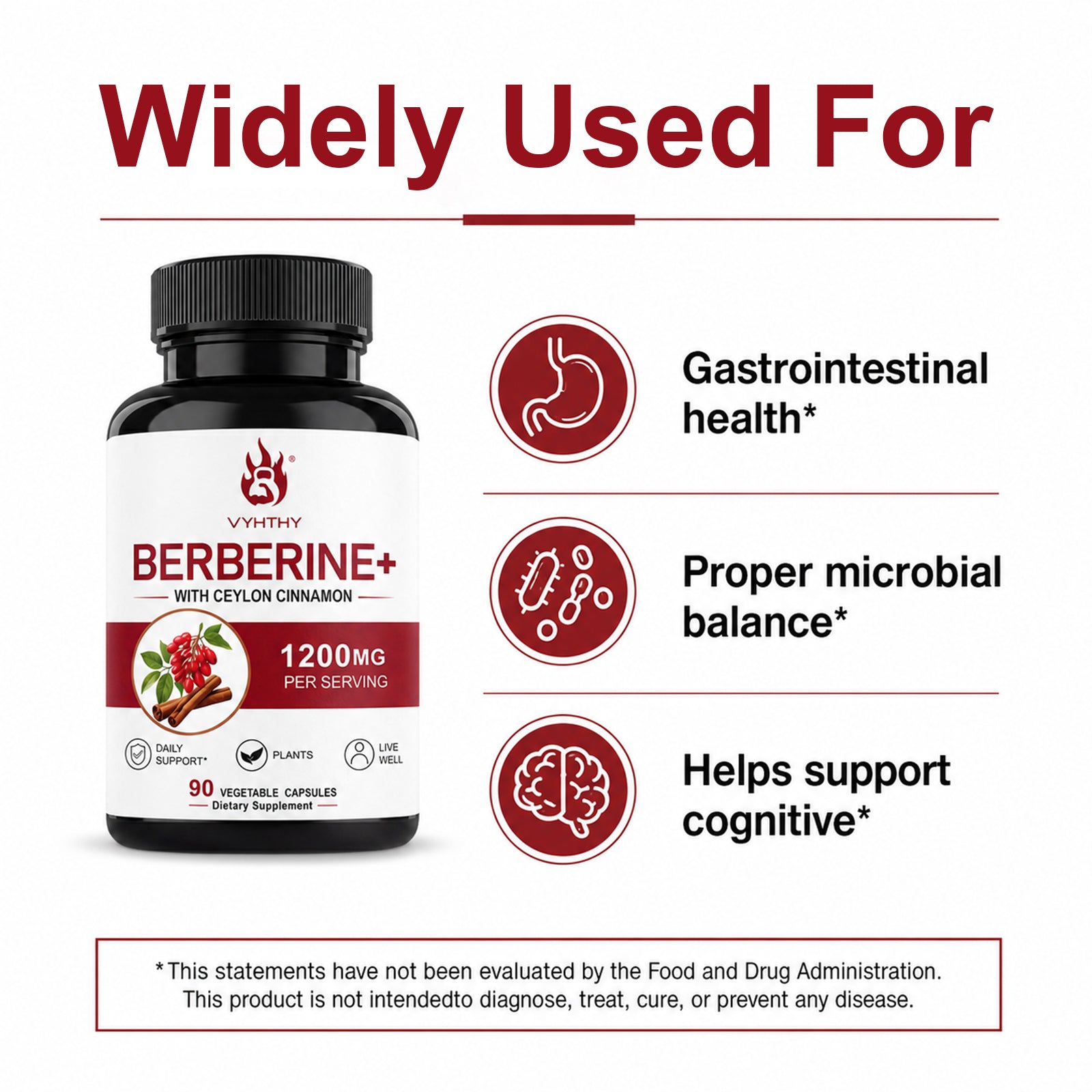 VYHTHY High Potency Berberine HCl 1200mg Complex with True Ceylon Cinnamon Extract, Natural Support for Gut Health, Microbial Balance & Cognitive Function, Easy-Swallow Vegetarian Capsules 90 Count