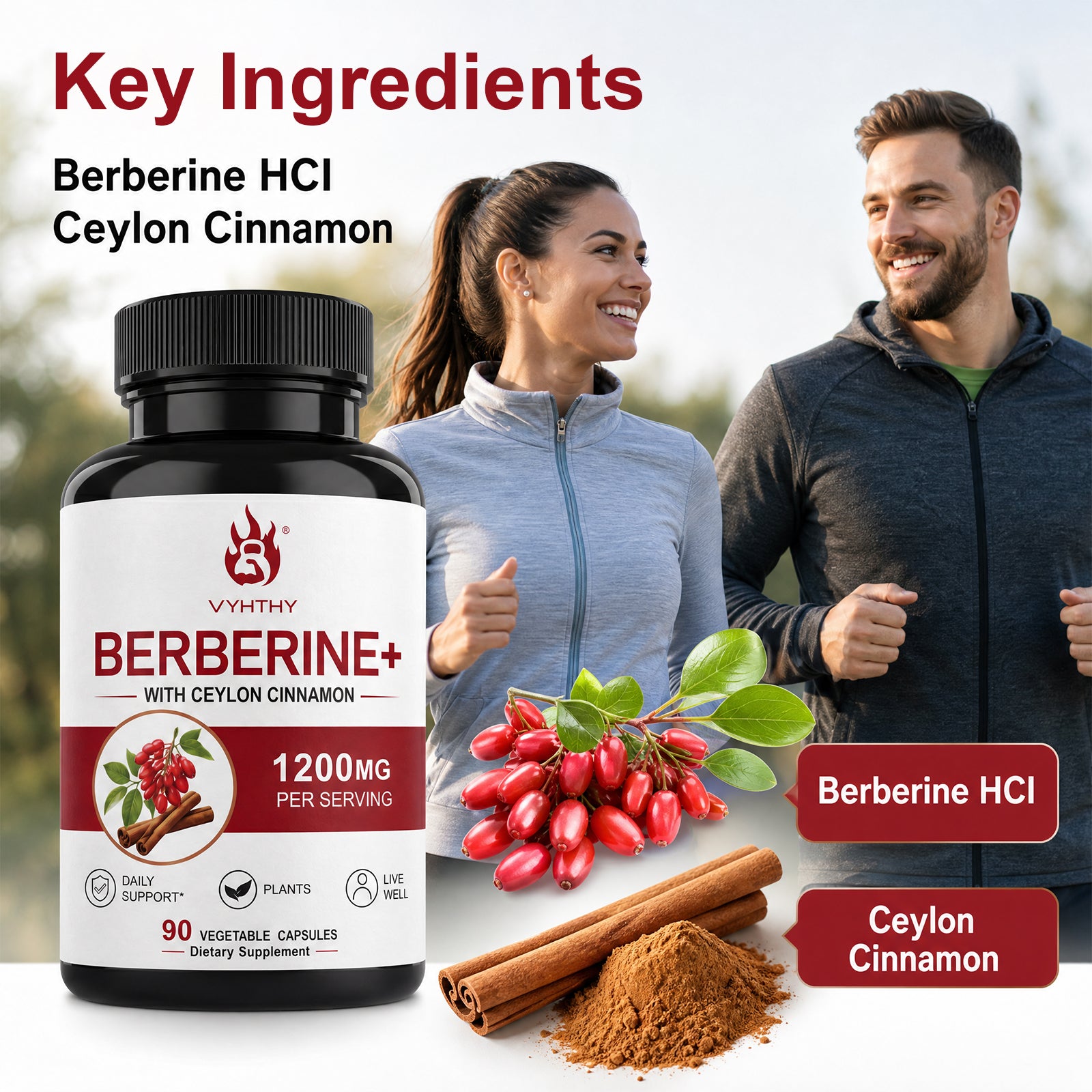 VYHTHY High Potency Berberine HCl 1200mg Complex with True Ceylon Cinnamon Extract, Natural Support for Gut Health, Microbial Balance & Cognitive Function, Easy-Swallow Vegetarian Capsules 90 Count